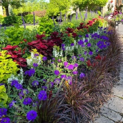 Landscape Design Pittsford, NY