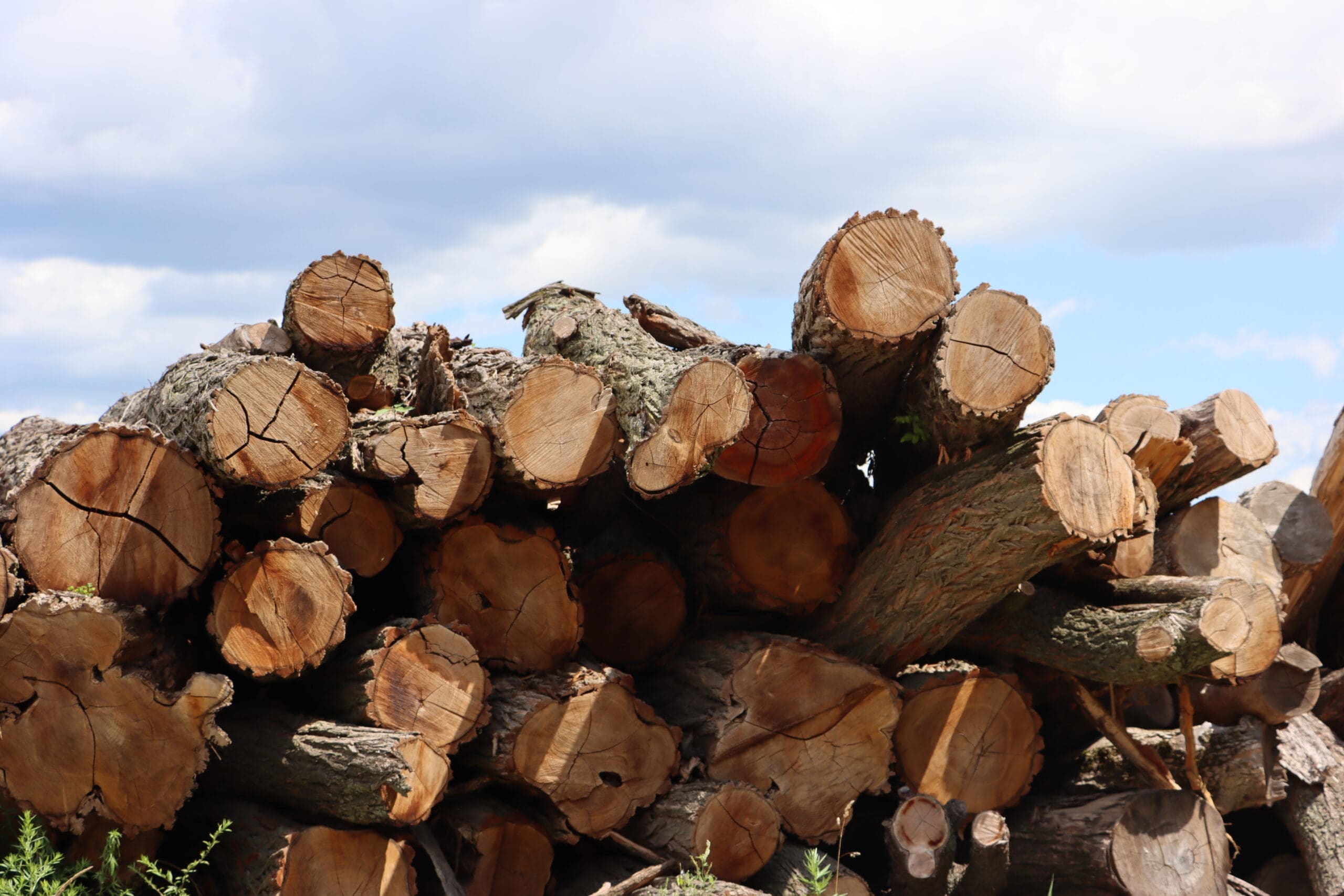 Pittsford, NY Firewood Delivery Service