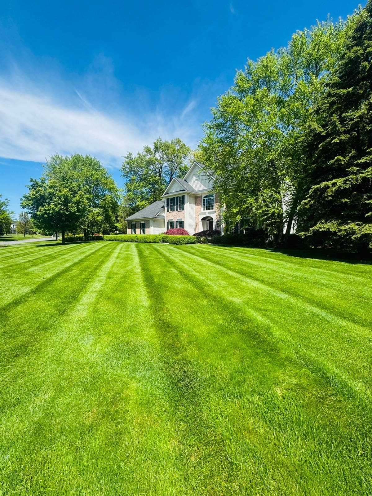 Mowing