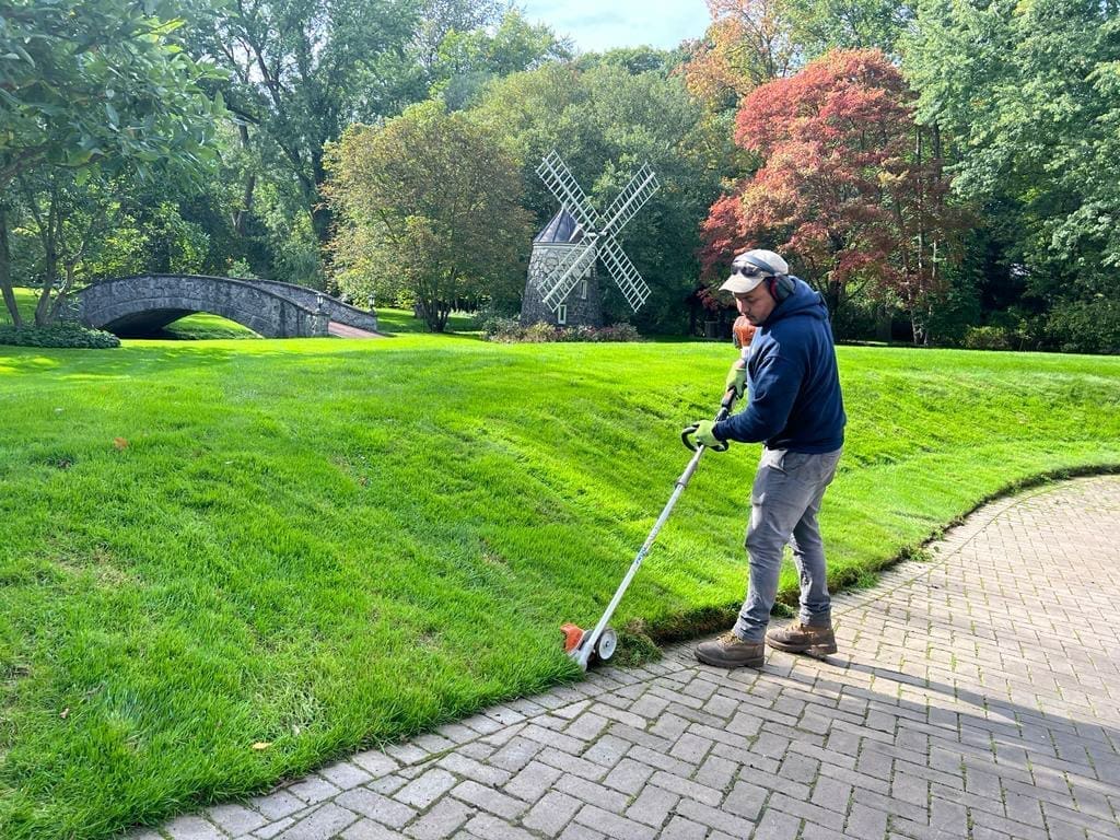 Mendon, NY Landscape Maintenance