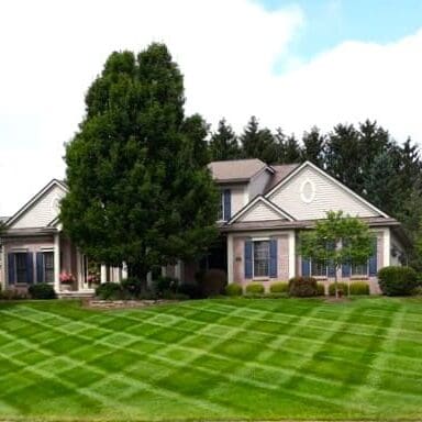 Pittsford, NY Turf Care Treatment Services